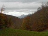 Clicca qui per vedere l'immagine in dettaglio